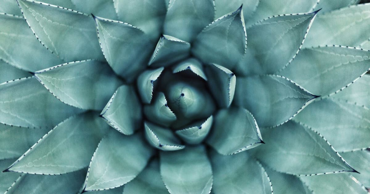 Berwyn's Village Wellness Hosts Free Holistic Health Open House to Increase Community Accessibility