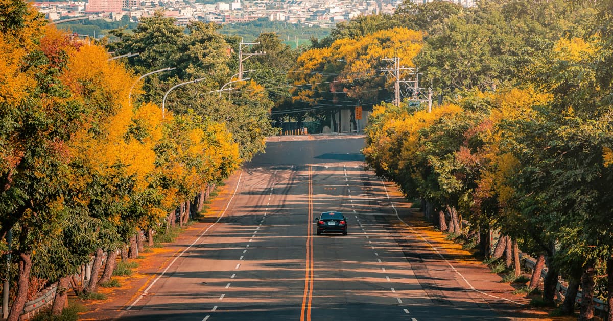 Sierra Leone Heritage Tour Bridges Diaspora Roots with Economic Development