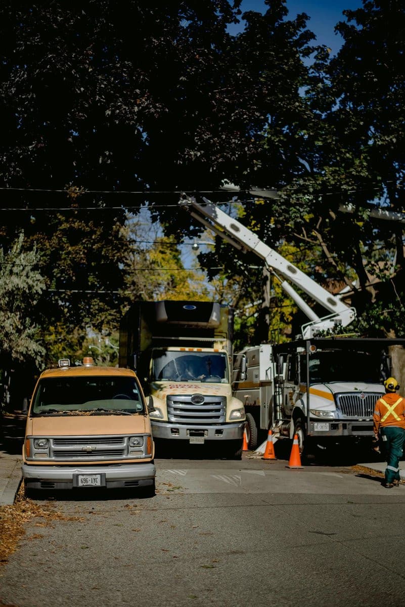 Lancaster Tree Pros Fills Critical Need for Professional Tree Care Services in Local Community