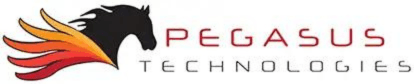 Pegasus Technologies Swaps Server Racks for Golf Clubs at Chamber Cup